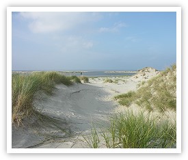 Norderney Dnenlandschaft